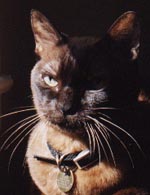 melvin.jpg (11693 bytes)